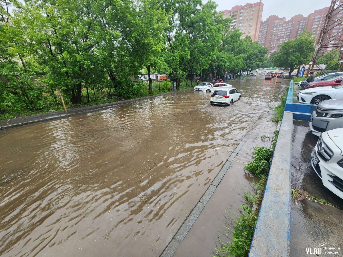 Водное ДТП произошло во Владивостоке»: течением Prius унесло в другое авто  — кадры - PortoFranko