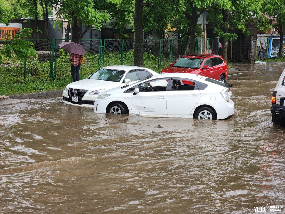 Водное ДТП произошло во Владивостоке»: течением Prius унесло в другое авто  — кадры - PortoFranko