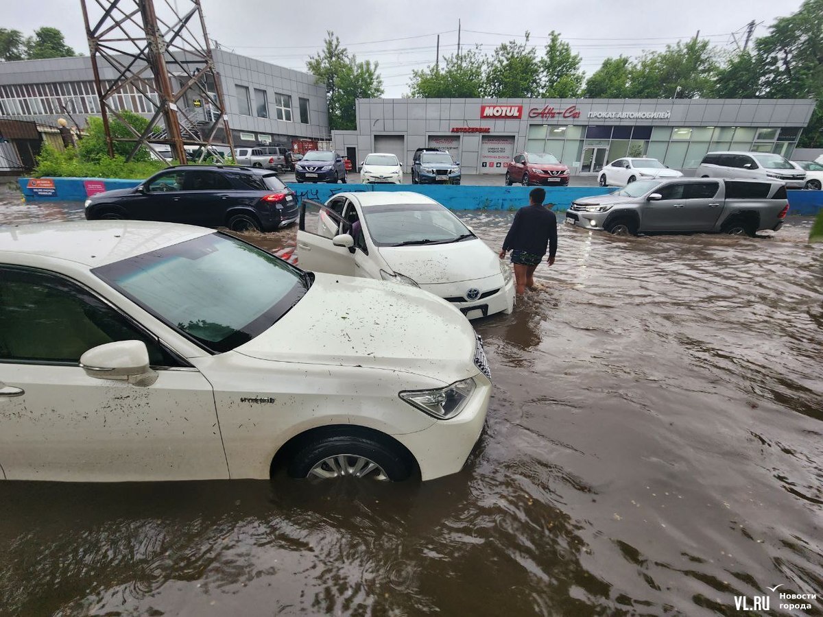 Водное ДТП произошло во Владивостоке»: течением Prius унесло в другое авто  — кадры - PortoFranko