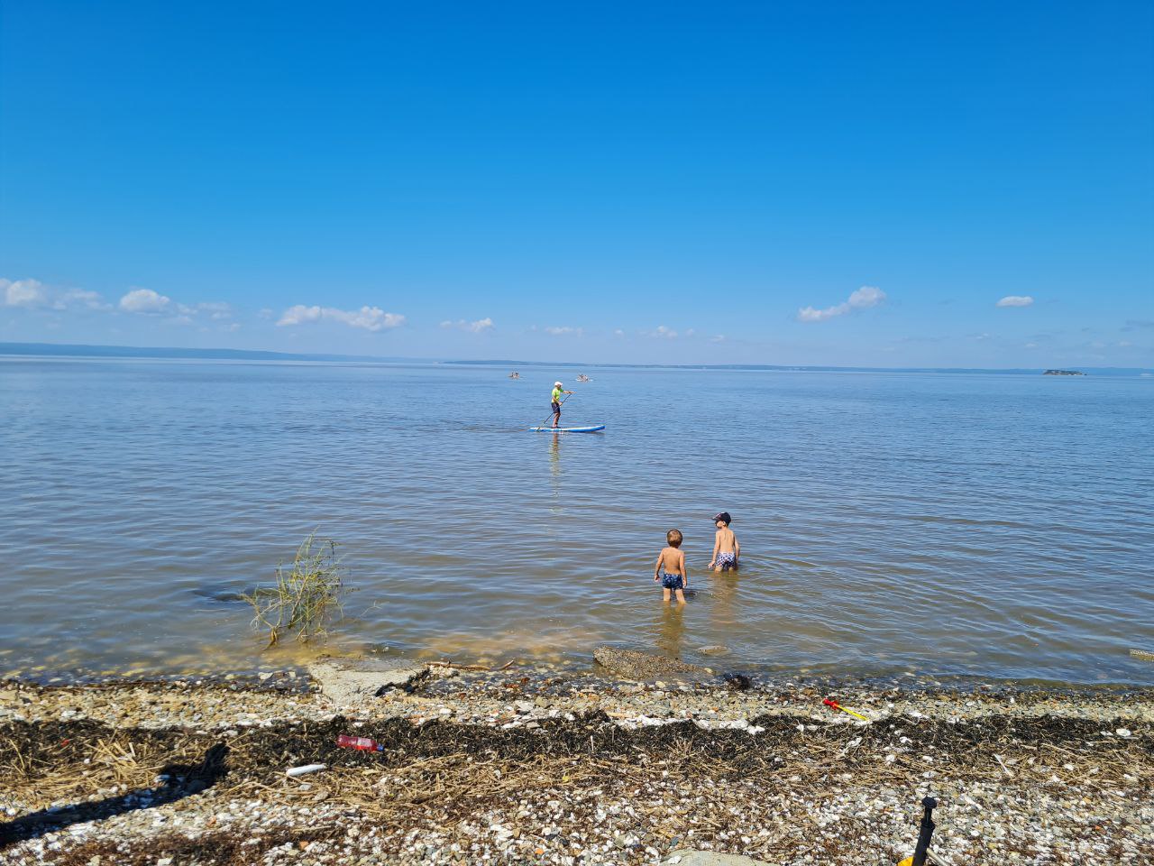 Куда вы лезете? — хоть детей пожалейте»: море во Владивостоке превратилось  в болото - PortoFranko